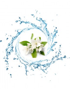 Ανθόνερο Γιασεμί 